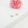 Delicate White Stone Freshwater Pearl Stud Earrings