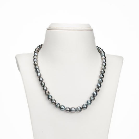 9.0-10.00mm Black Near Round Ringed Tahitian Pearls Necklace Set -AA Quality