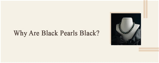 Why Are Black Pearls Black?