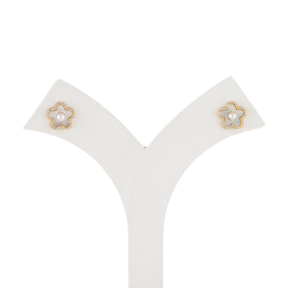 Exotic White Freshwater Pearl Stud Earrings
