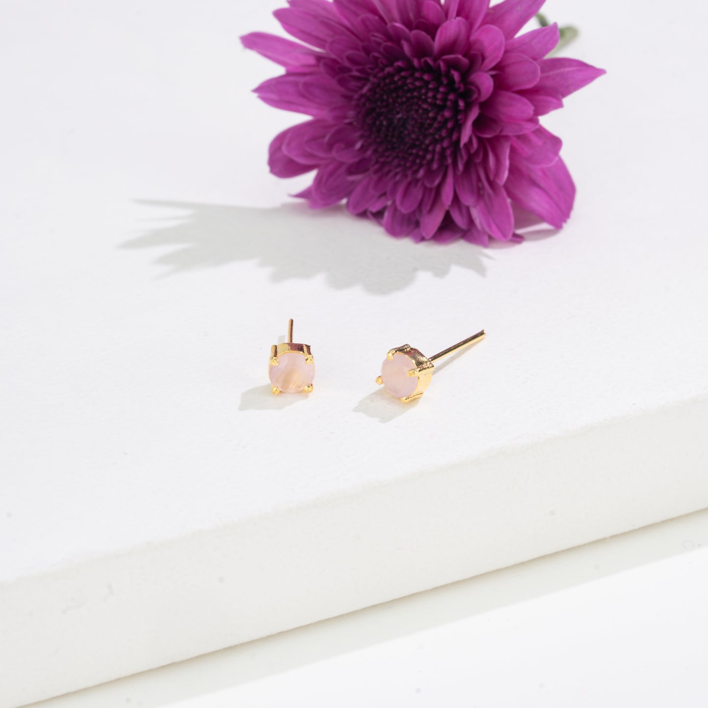 Timeless Round-Cut Changeable Frame Stud Earrings with Multi-Coloured Stones Box