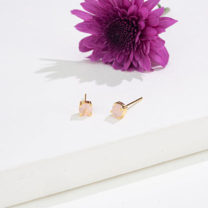 Timeless Round-Cut Changeable Frame Stud Earrings with Multi-Coloured Stones Box