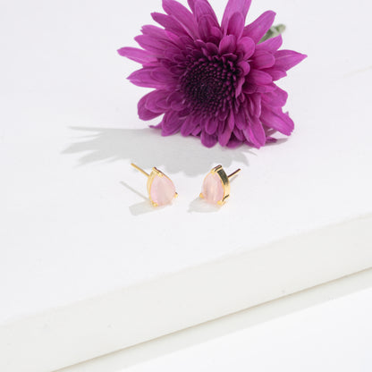 Graceful Pear Changeable Frame Stud Earrings with Multi-Coloured Stones