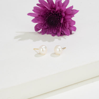 7-Day Timeless Pearl Earrings Gift Box- 7 Styles in One Box