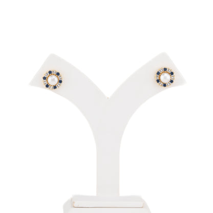 Exquisite Blue Stone Freshwater Pearl Studs Earrings