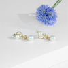 Classic White Drop Freshwater Pearl Hanging Studs Earrings