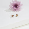 Bronze Button Freshwater Pearl Stud Earrings