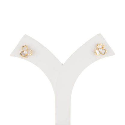 Classy White Freshwater Pearl Stud Earrings