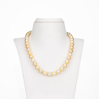 8.0-13.0mm Golden Round South Sea Pearls Necklace Set - AAA Quality