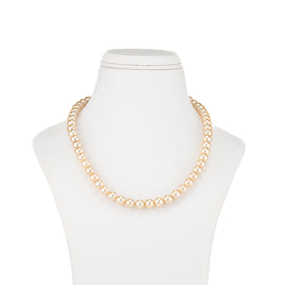 7.0-8.0mm Golden Round Akoya Saltwater Pearl Necklace Set - AAA Quality