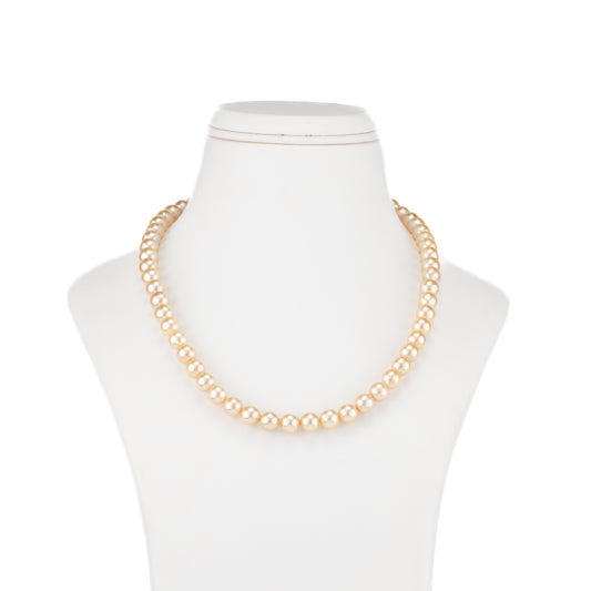 7.0-8.0mm Golden Round Akoya Saltwater Pearl Necklace Set - AAA Quality