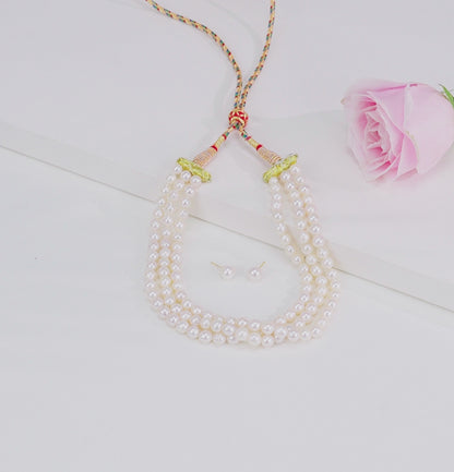 Classic White Near Round Freshwater Pearl Choker