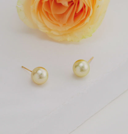 9.0-10.0mm Golden Round South Sea Pearl Studs